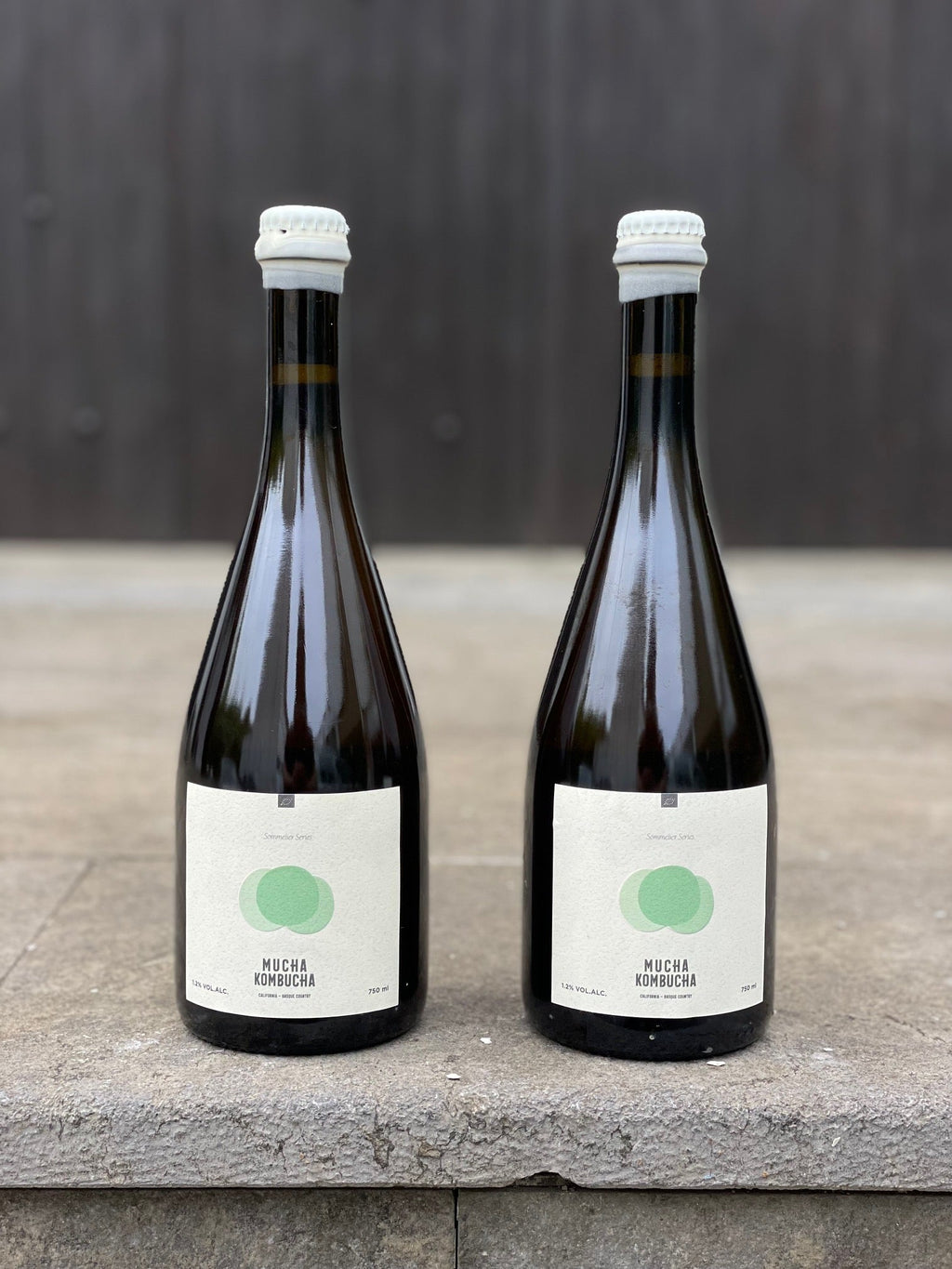 Kombucha Hondarribi Zuri Collab Urkizahar - 4 Pack