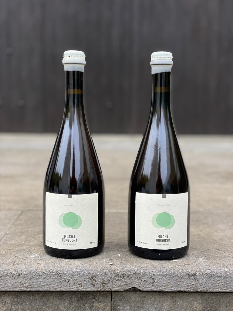 Kombucha Hondarribi Zuri Collab Urkizahar - 4 Pack