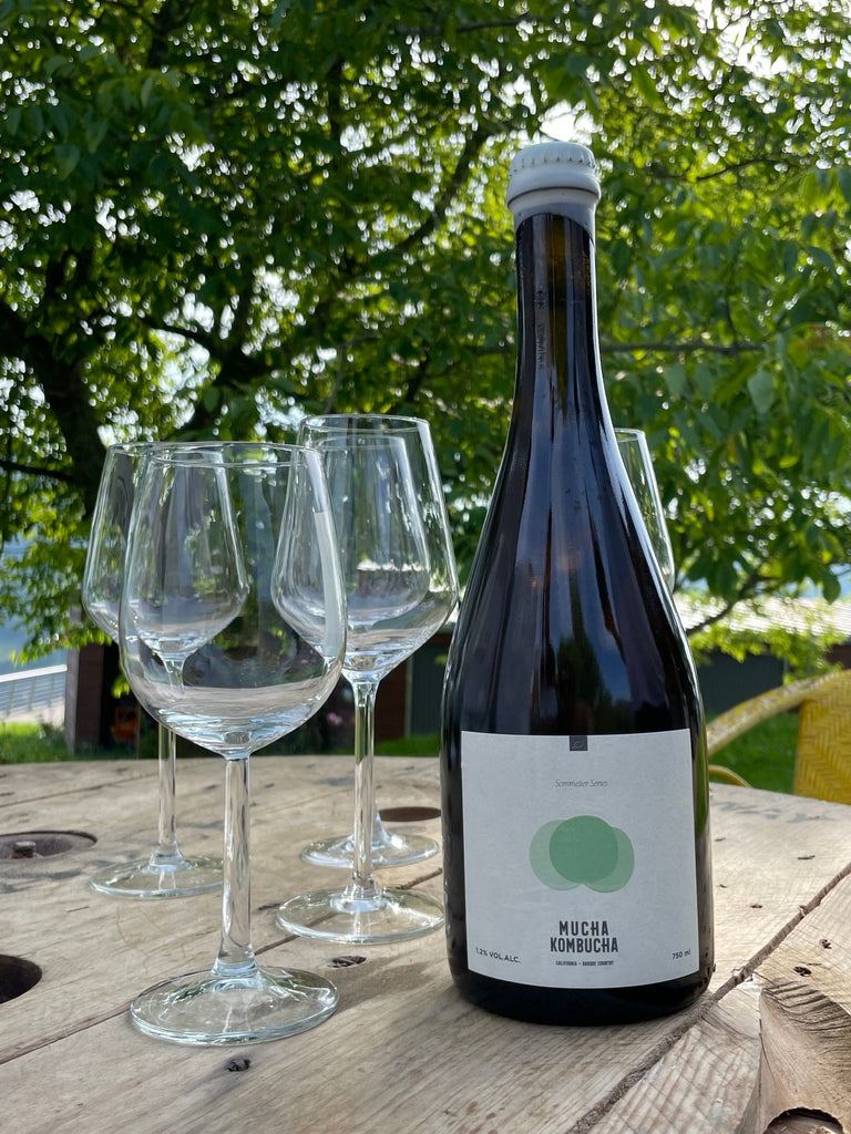 Kombucha Hondarribi Zuri Collab Urkizahar - 4 Pack