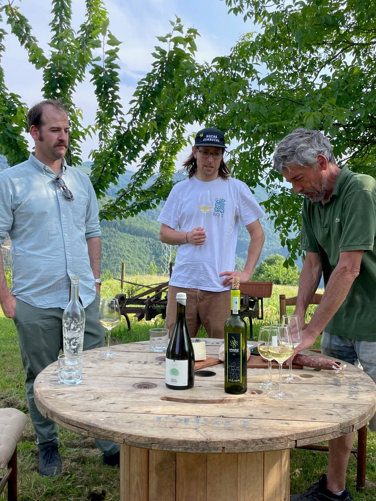 Kombucha Hondarribi Zuri Collab Urkizahar - 4 Pack