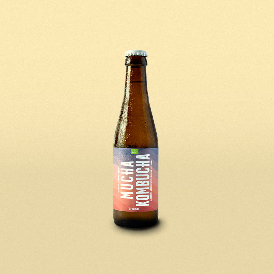 KOMBUCHA 12 PACK MIX + Kombucha Café