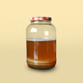 SCOBY DE KOMBUCHA - 2 LITROS